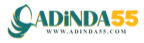 Adinda55 logo